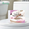 Toilet Bowl Cleaning Sheets: Eco-Friendly, Antibacterial - China OEM/ODM Supplier