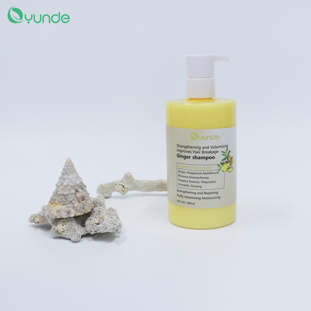 Improves Hair Breakage Ginger Shampoo