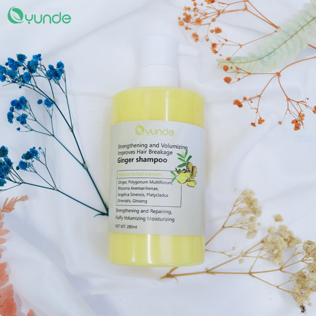 Improves Hair Breakage Ginger Shampoo – Strengthens, Moisturizes, and Promotes Healthy Hair Growth