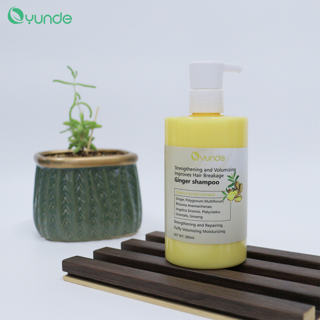 Improves Hair Breakage Ginger Shampoo – Strengthens, Moisturizes, and Promotes Healthy Hair Growth
