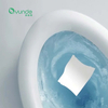 Toilet Bowl Cleaning Sheets: Eco-Friendly, Antibacterial - China OEM/ODM Supplier