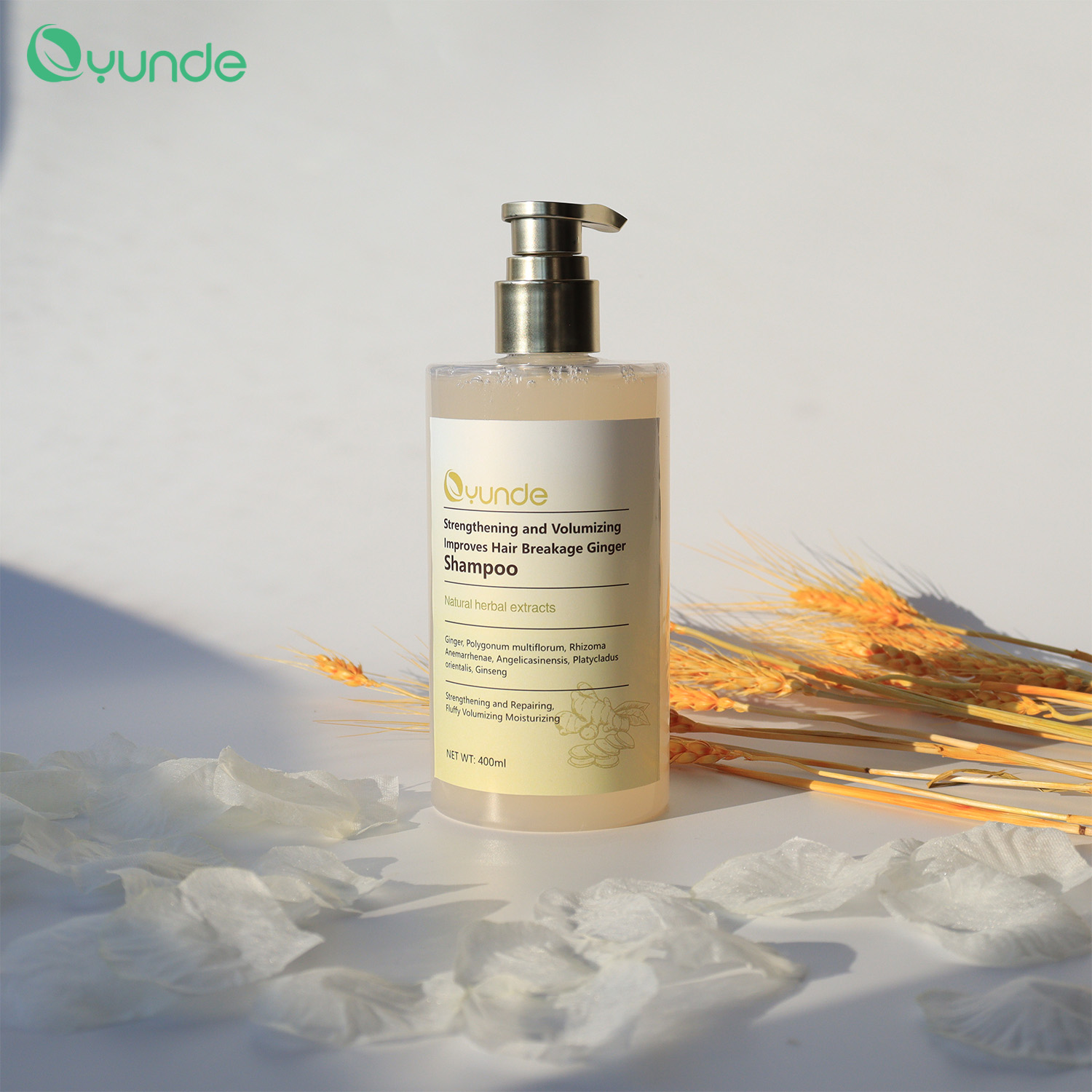 Promote Hair Growth, Natural Extract, Ginger Shampoo