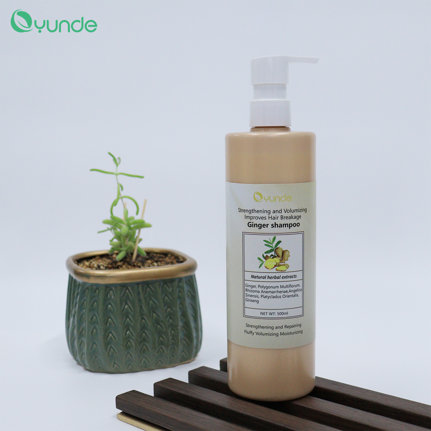 Natural plant extract, ginger shampoo