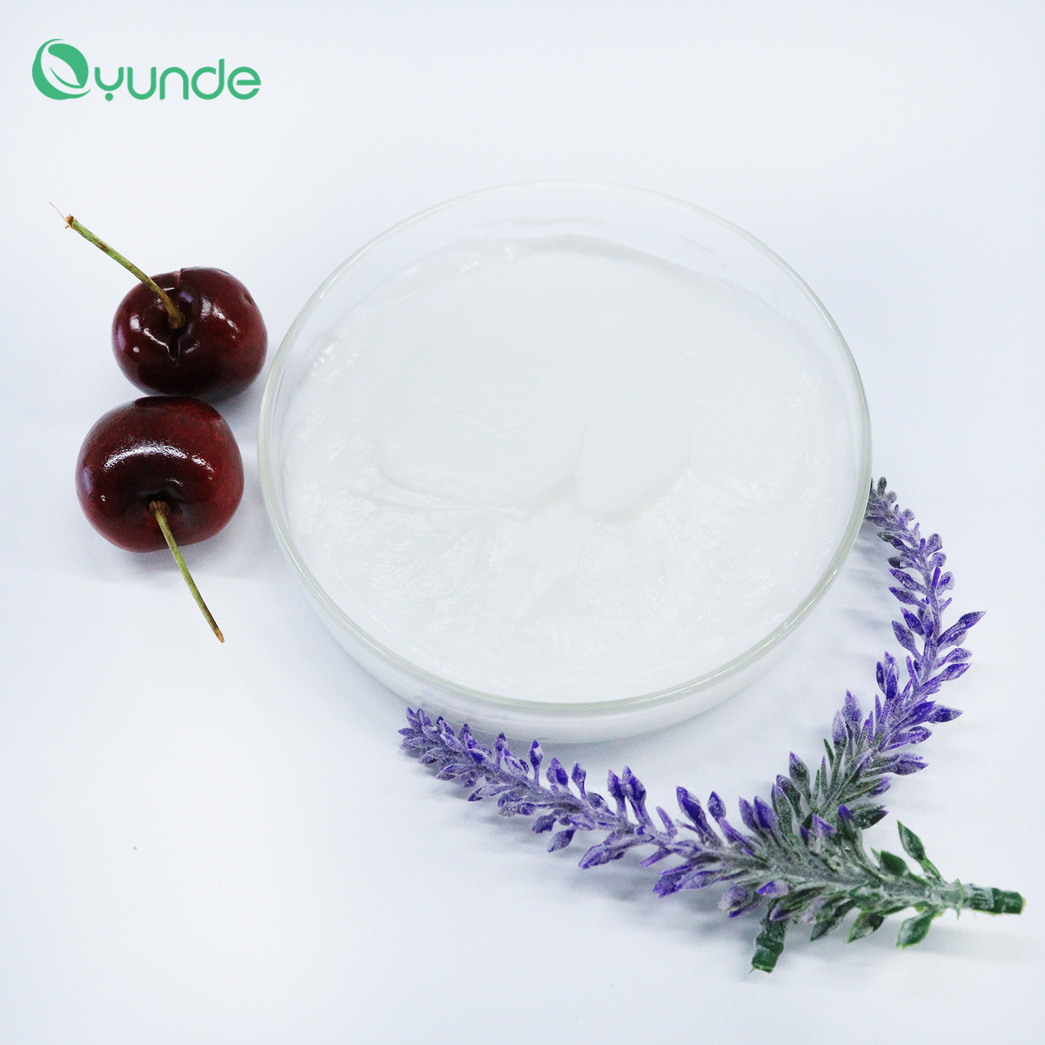 Argan Oil Conditioner – Nourishing, Repairing & Smoothing for Healthy Hair