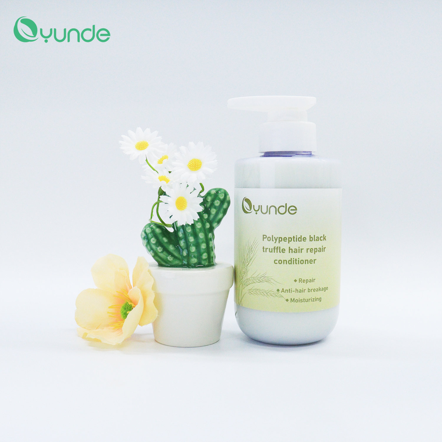 Hydrate And Strengthen Hair Using Argan Oil Powered Formula