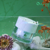 Avocado Makeup Remover Cream Gently Cleanses While Hydrating Skin
