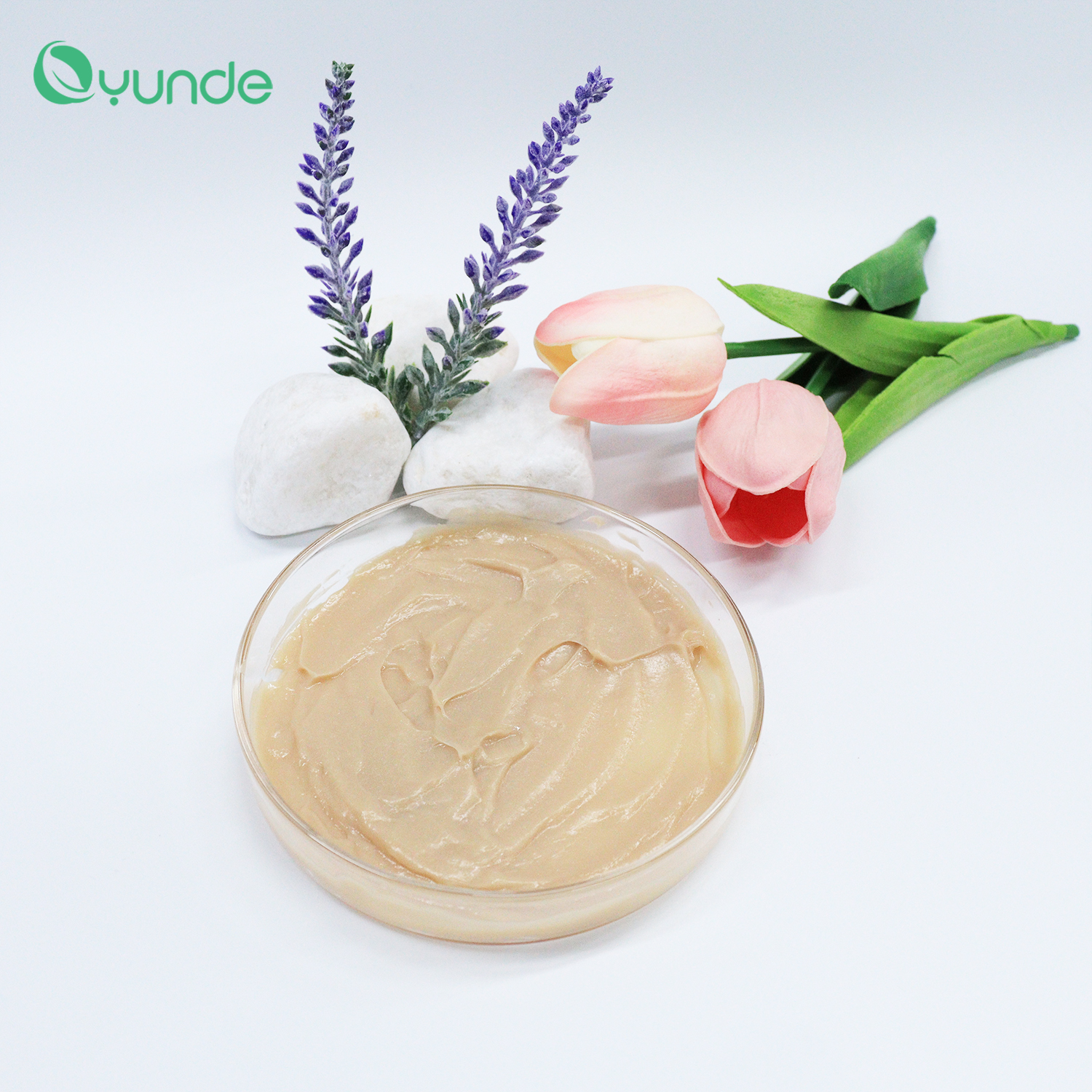 Repair Damaged Hair With Argan Oil Deep Conditioning Treatment