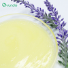 Deep Cleansing Moisturizing Repair Conditioner – Salon Care
