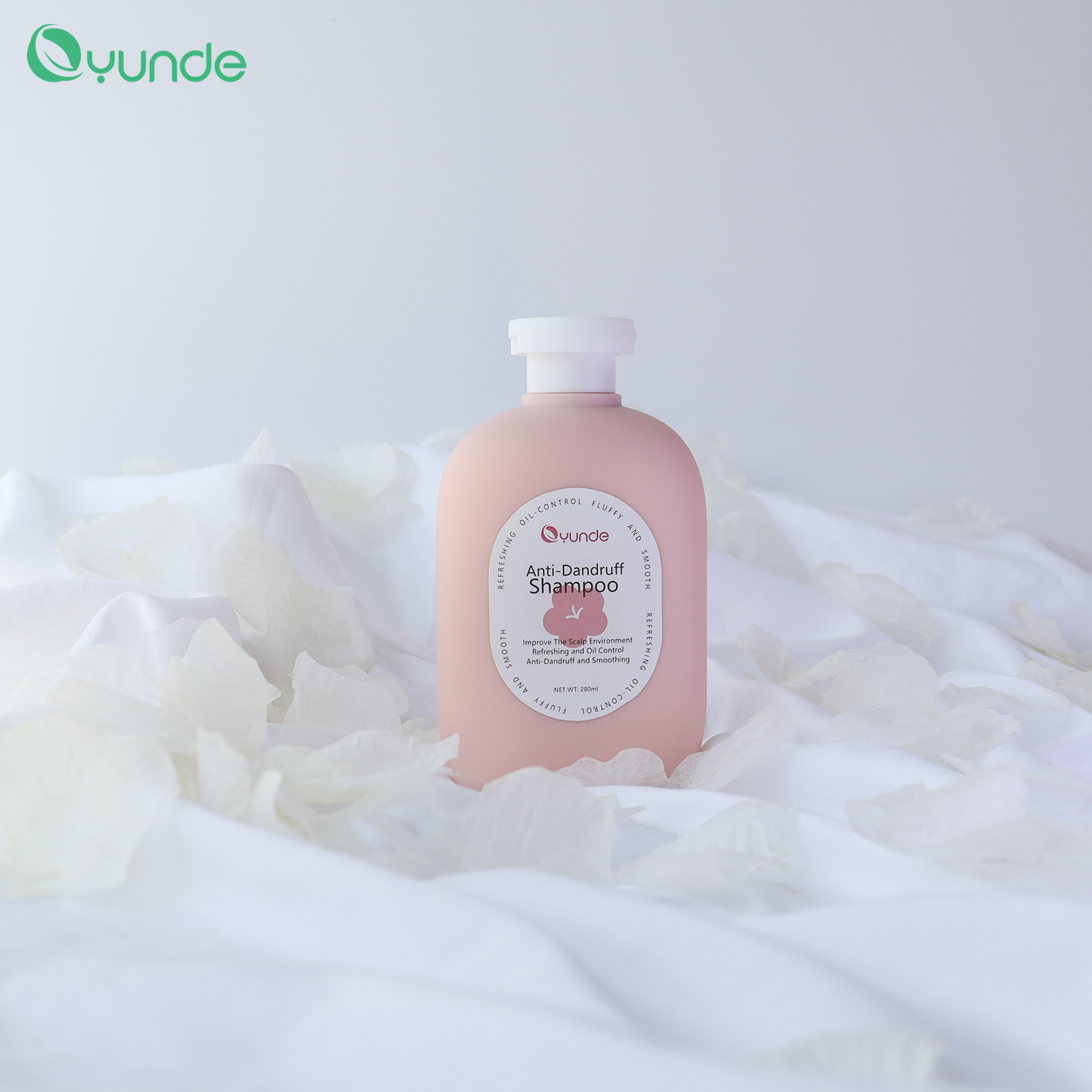 Create Your Own Brand Oil-control Anti-dandruff Shampoo 