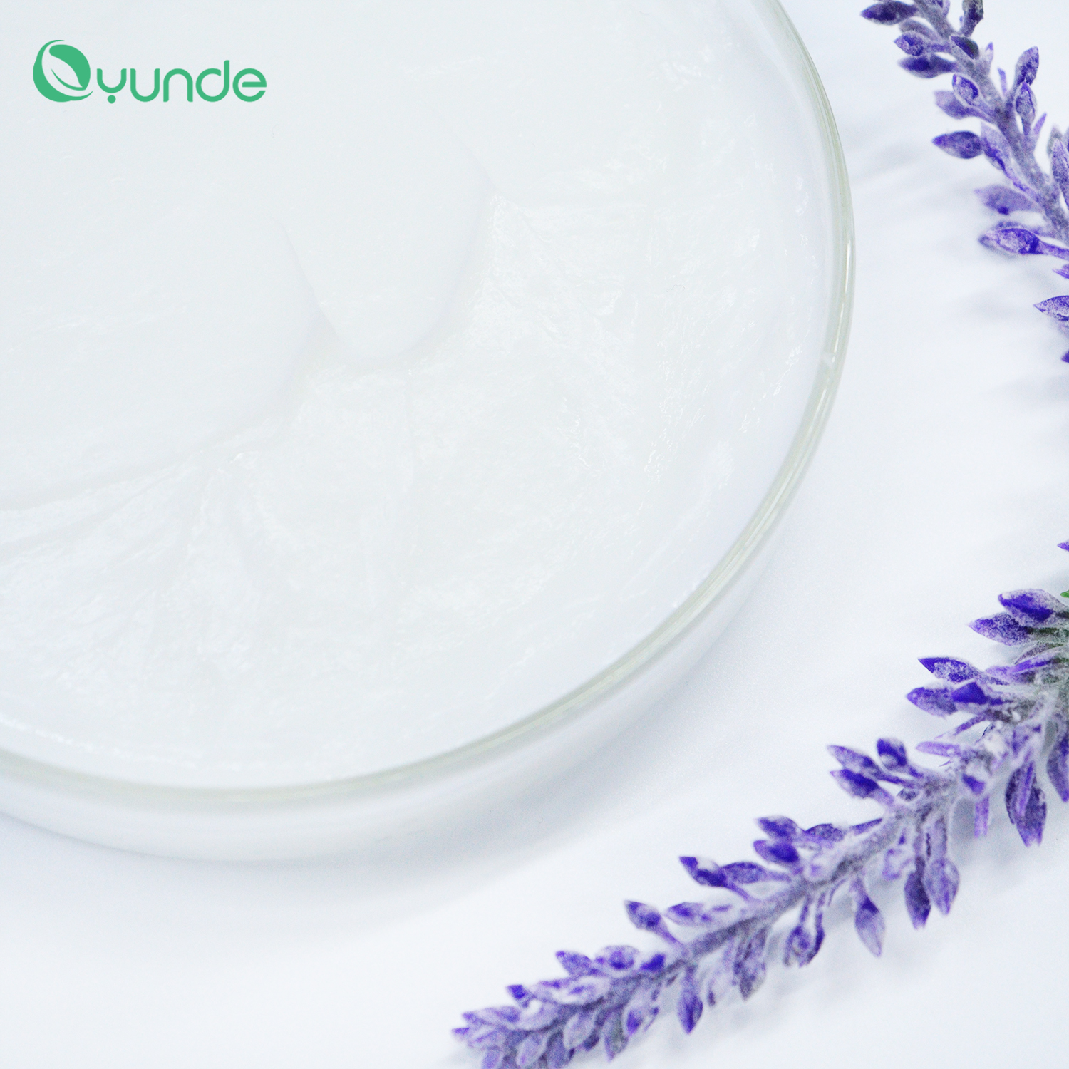 Argan Oil Conditioner – Nourishing, Repairing & Smoothing for Healthy Hair