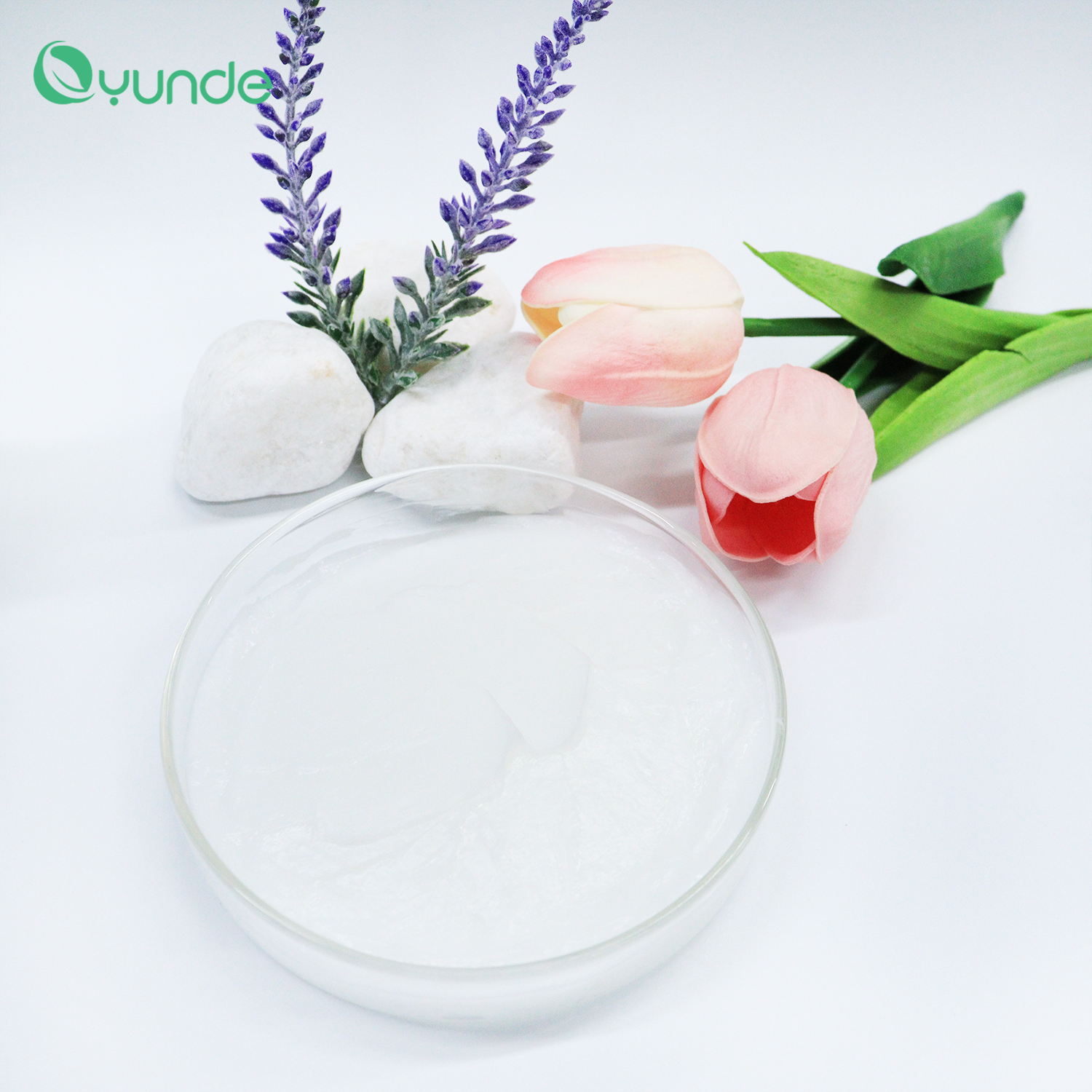 Argan Oil Conditioner – Nourishing, Repairing & Smoothing for Healthy Hair